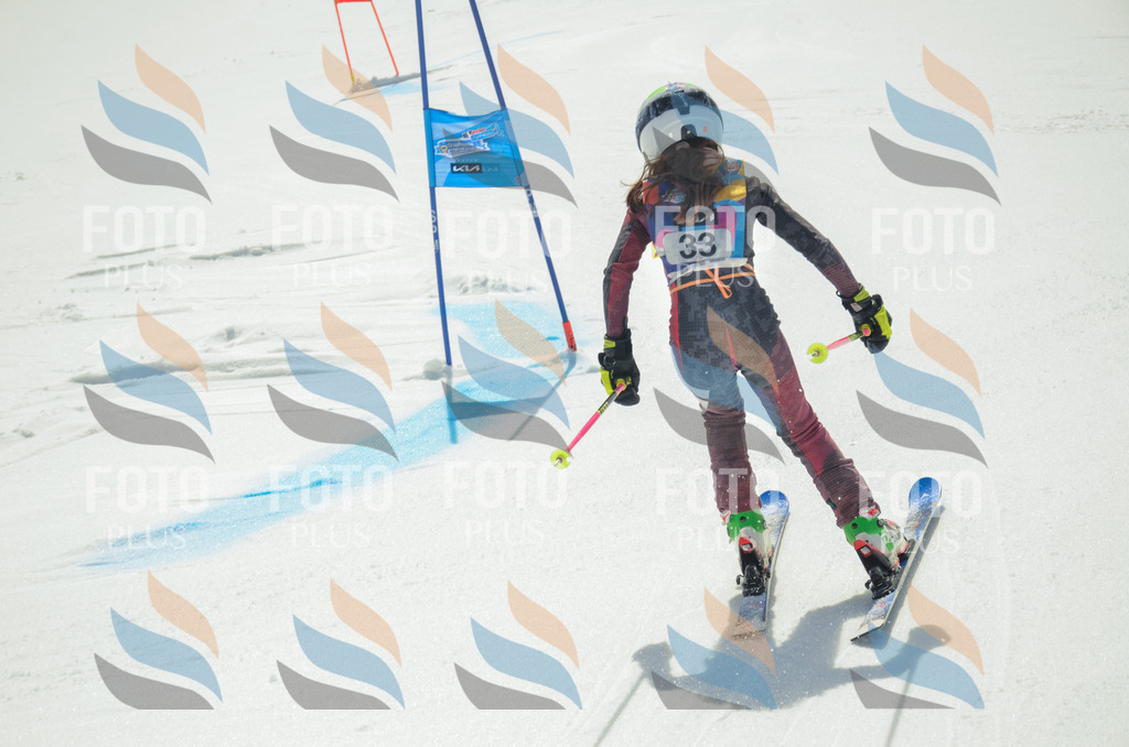 _ELE4925 | holidayphoto