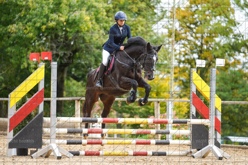 20221009-FAH08469 | Diessen am Ammersee, 2022, Dressur- und Springturnier, Reitsportbilder, Turnierfotografen Bayern, Pferdefotografen, Fotoagentur Herrmann, Turnierbilder
