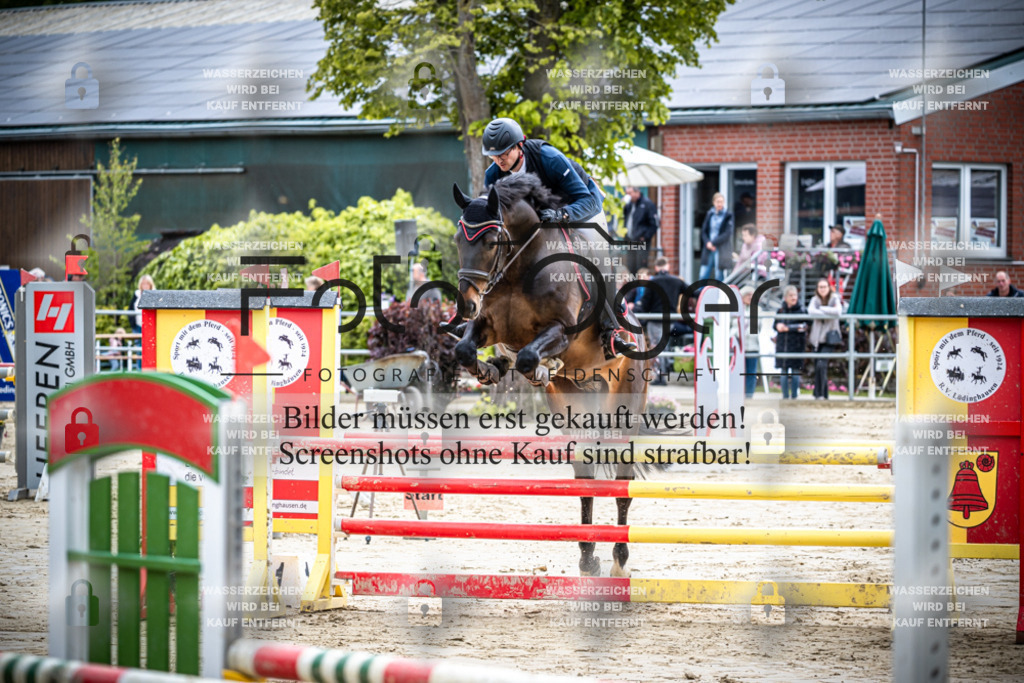 DOS_0330 | Reitturnier Lüdinghausen - Realisiert mit Pictrs.com