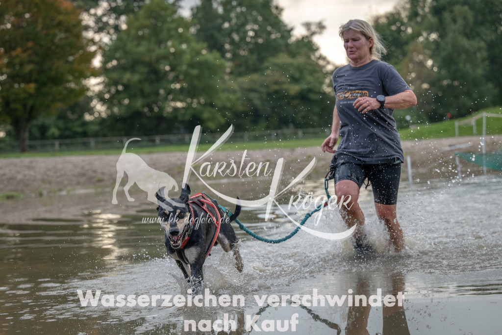 1536_ZZ93496 | kk-dogfotos