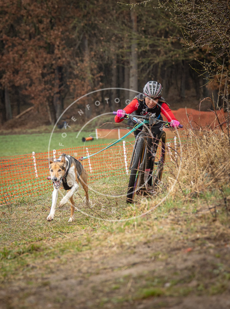 0L8A9033 | Hundefotografie, Tierfotograf, Pfotenfotografie, Fotoshooting Hund, Hunde Portrait, Hundesport, Hundeportraits, Heideshooting, Hunde, Sportfotograf, Hundefotograf, Turnierhundsport, THS,  - Realisiert mit Pictrs.com