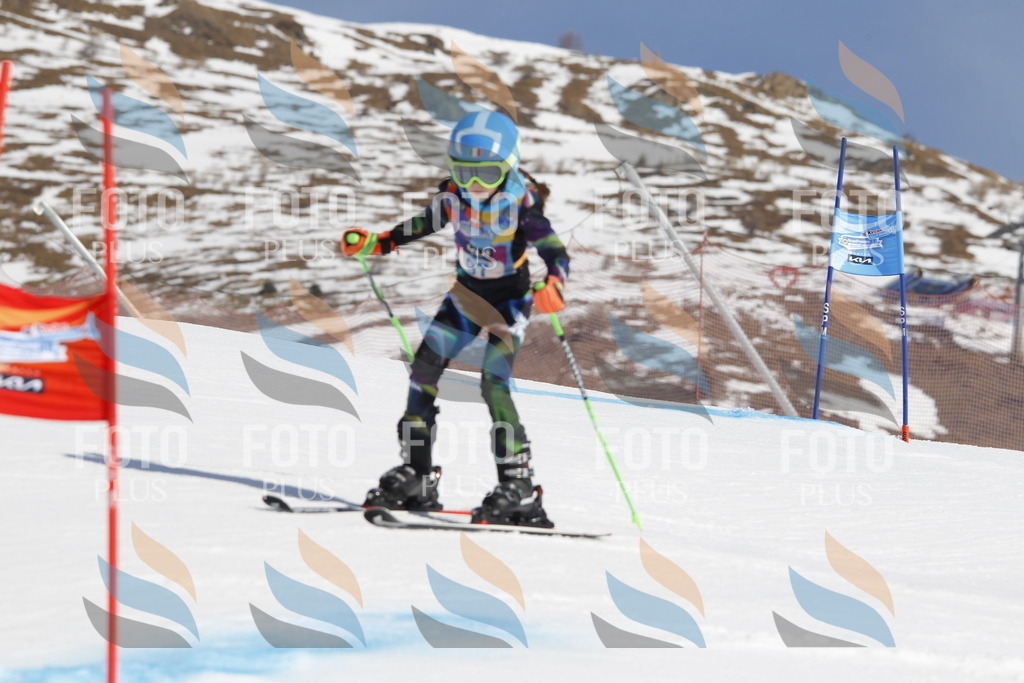 _U3G0271 | holidayphoto