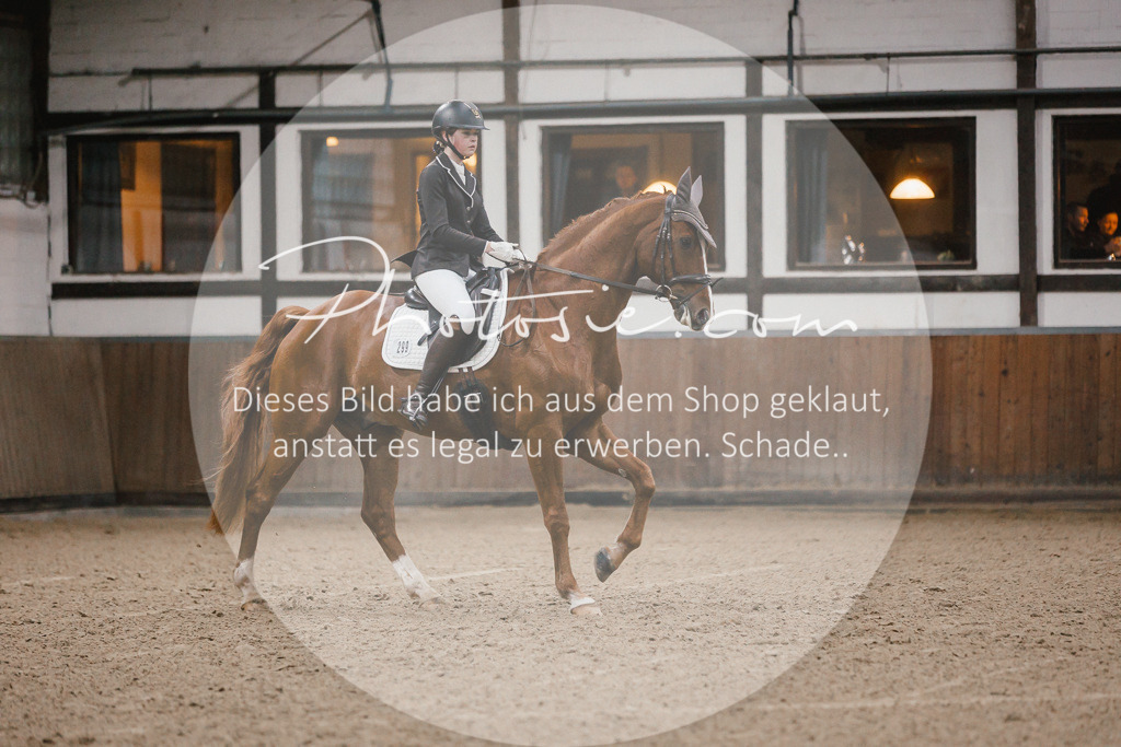 3I6A5932 | Stimmungsvolle Portraits und Reitsportfotografie im Ruhrgebiet und im Münsterland.

Pferdefotografie, Hundefotografie, Tierfotografie, Reportagen, Portraits von Tier und Mensch, Turnierfotografie in Bochum, Recklinghausen, Marl, Haltern am See, Dülmen.. - Realisiert mit Pictrs.com