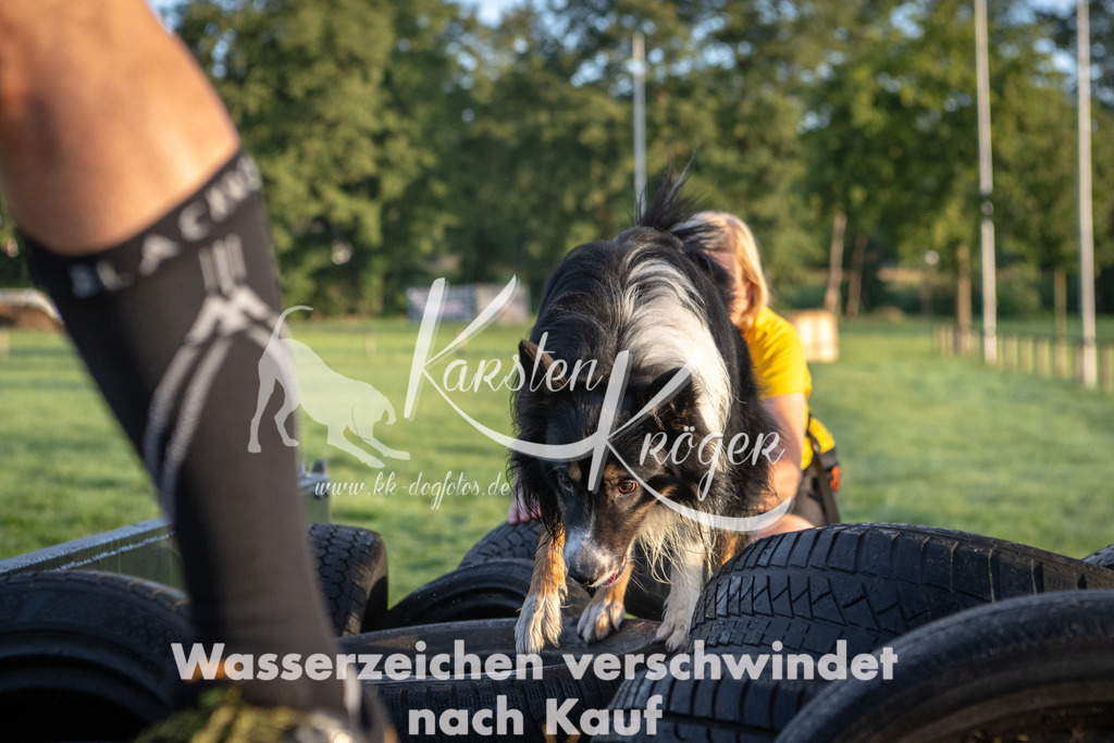 0802_ZZ90048 | kk-dogfotos
