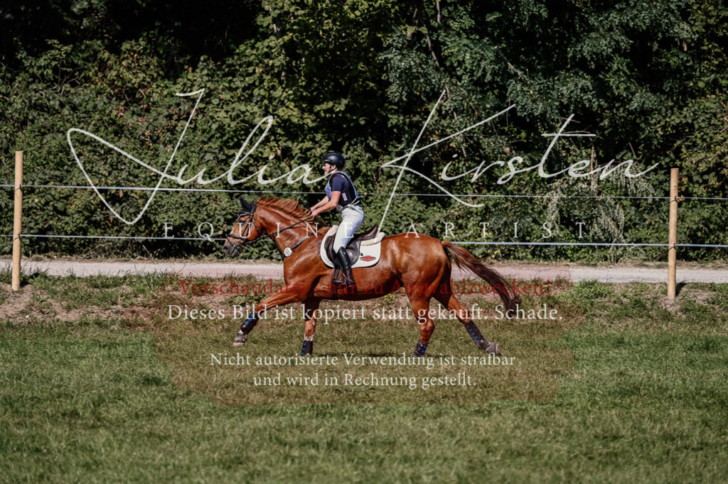 DSC_1892 | Pferde- und Turnierfotografie in Westsachsen. Pferdeportraits, Auftragszeichnungen und intuitive Kunst.
