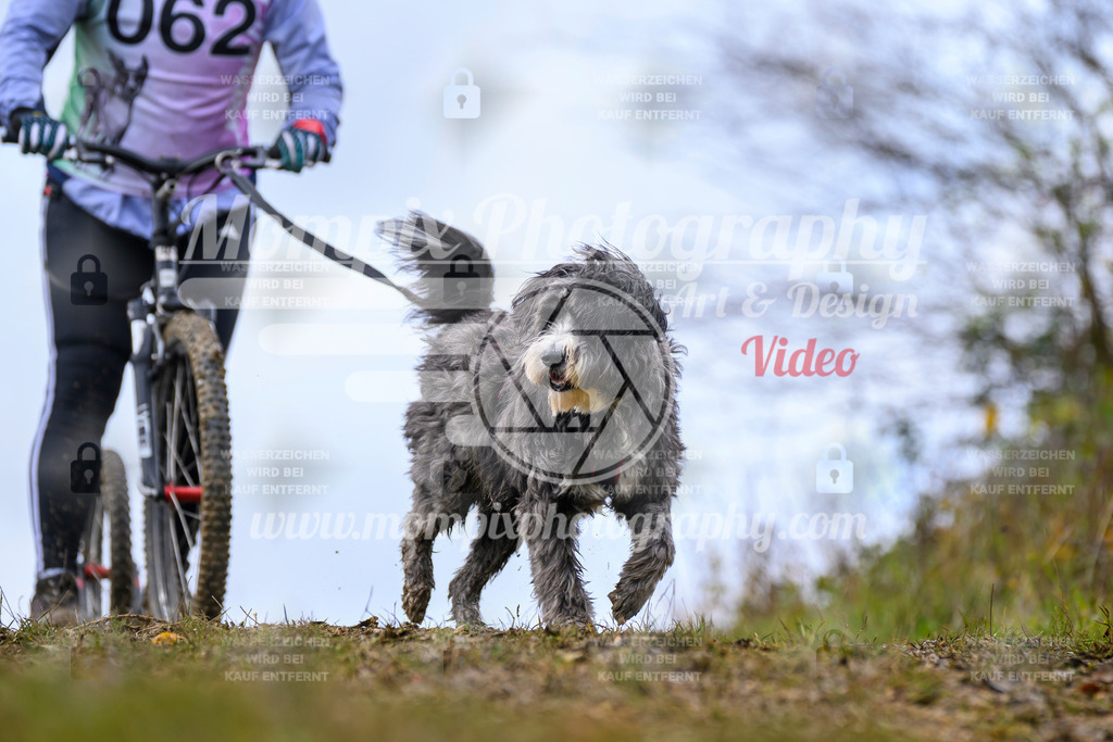 MompixPhotography_2OATB_SO_Scooter-54 | PayLife