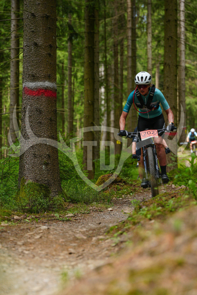 FC603757 | Fotogalerie der Treibjagd im Dunkelwald - Dein MTB Etappenrennen im Erzgebirge - Realisiert mit Pictrs.com