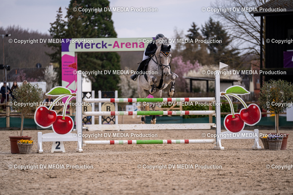 Kranichstein Tag 2-2130 | dv-media-shop - Realisiert mit Pictrs.com