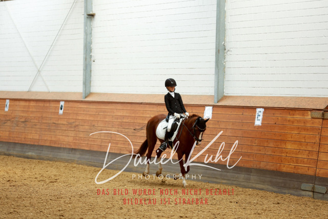 _62_6934 | Turniersportfotografie; Pferdefotografie; Dressurfotografie