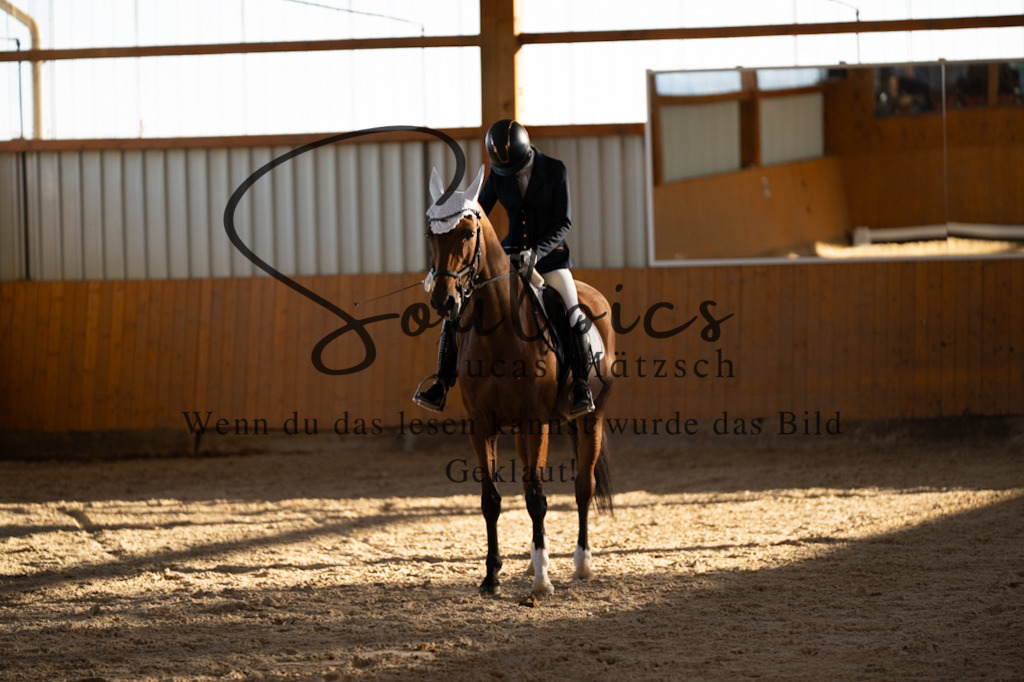 A7V01610 | Pferdefotograf