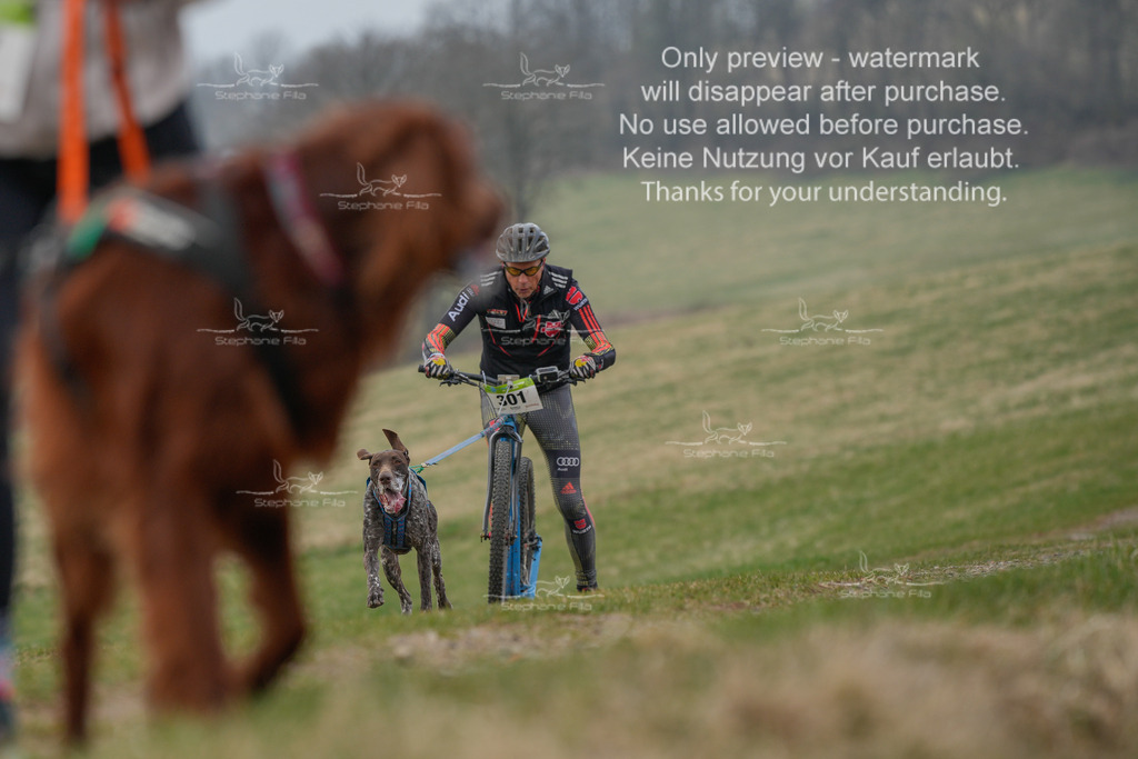 ScooterSA-3 | stephaniefillaphotographie - Realisiert mit Pictrs.com