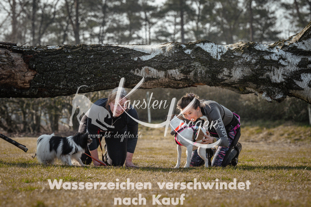 1007_ZZ91042 | kk-dogfotos