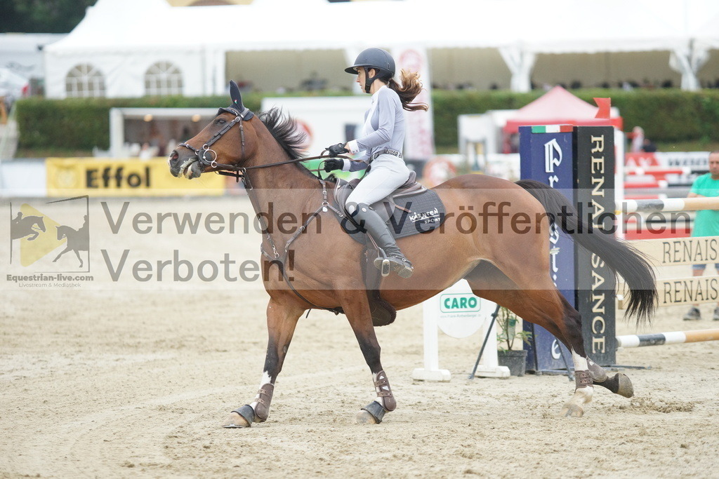 DSC08530 | equestrian-live-com