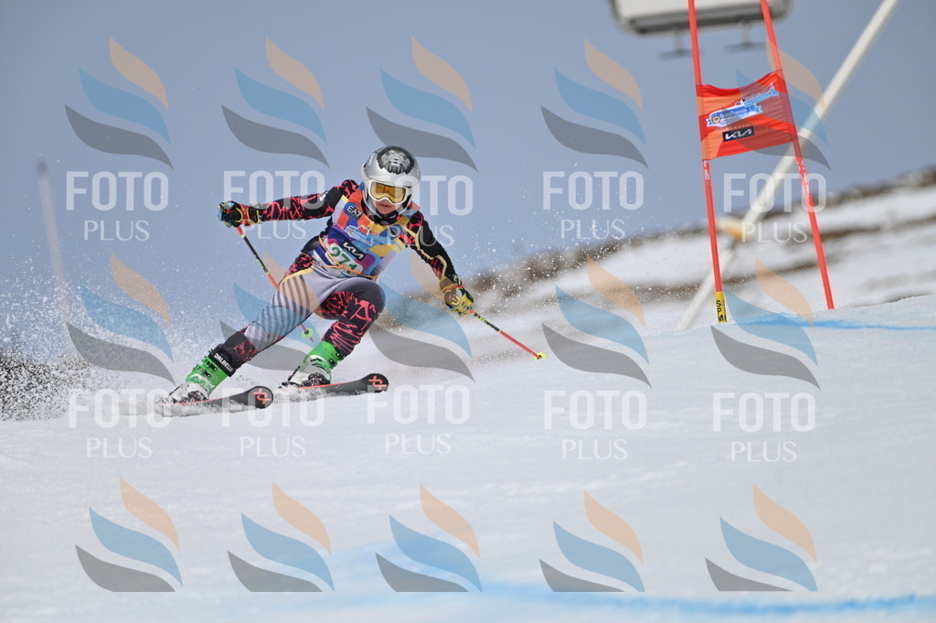 BGV_5358 | holidayphoto