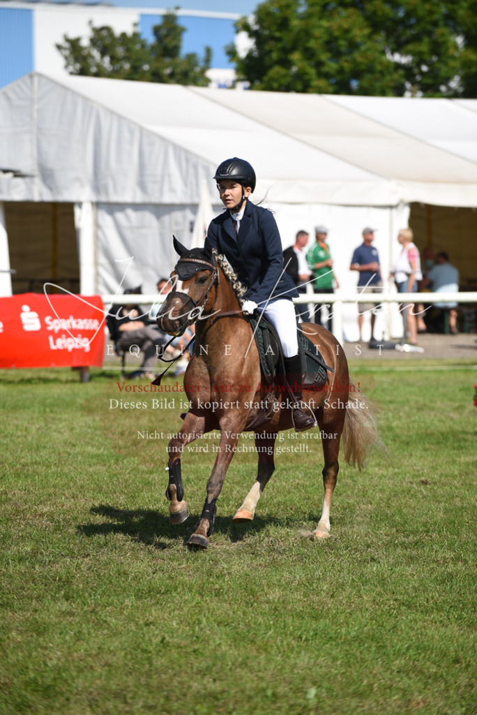 DSC_9066 | Pferde- und Turnierfotografie in Westsachsen. Pferdeportraits, Auftragszeichnungen und intuitive Kunst.