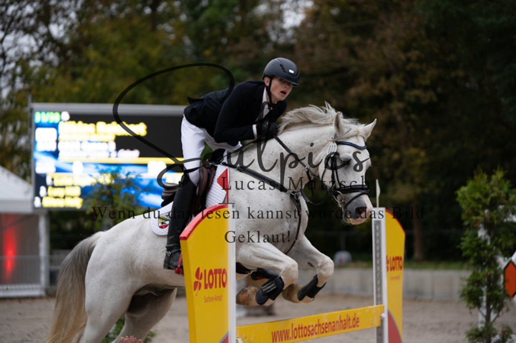 A7V00093 | Turnier/Reitfotograf
