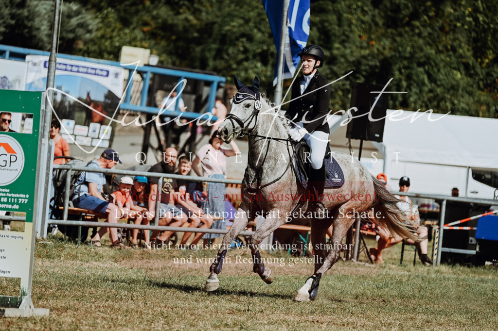 DSC_9484 | Pferde- und Turnierfotografie in Westsachsen. Pferdeportraits, Auftragszeichnungen und intuitive Kunst.