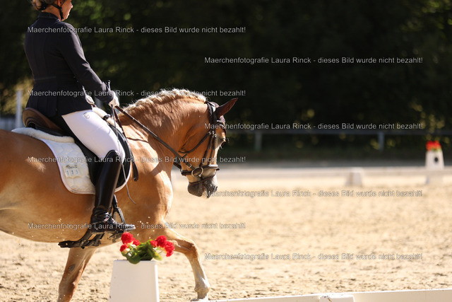 HG9A9758 | laurarinckfotografie - Realisiert mit Pictrs.com