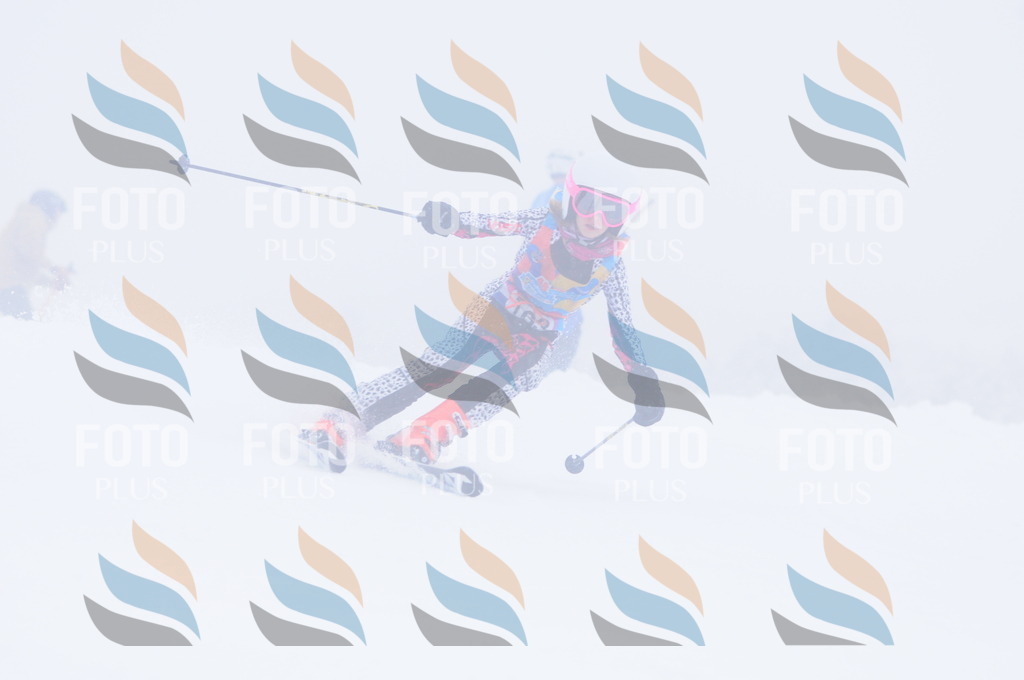 C1924 | holidayphoto