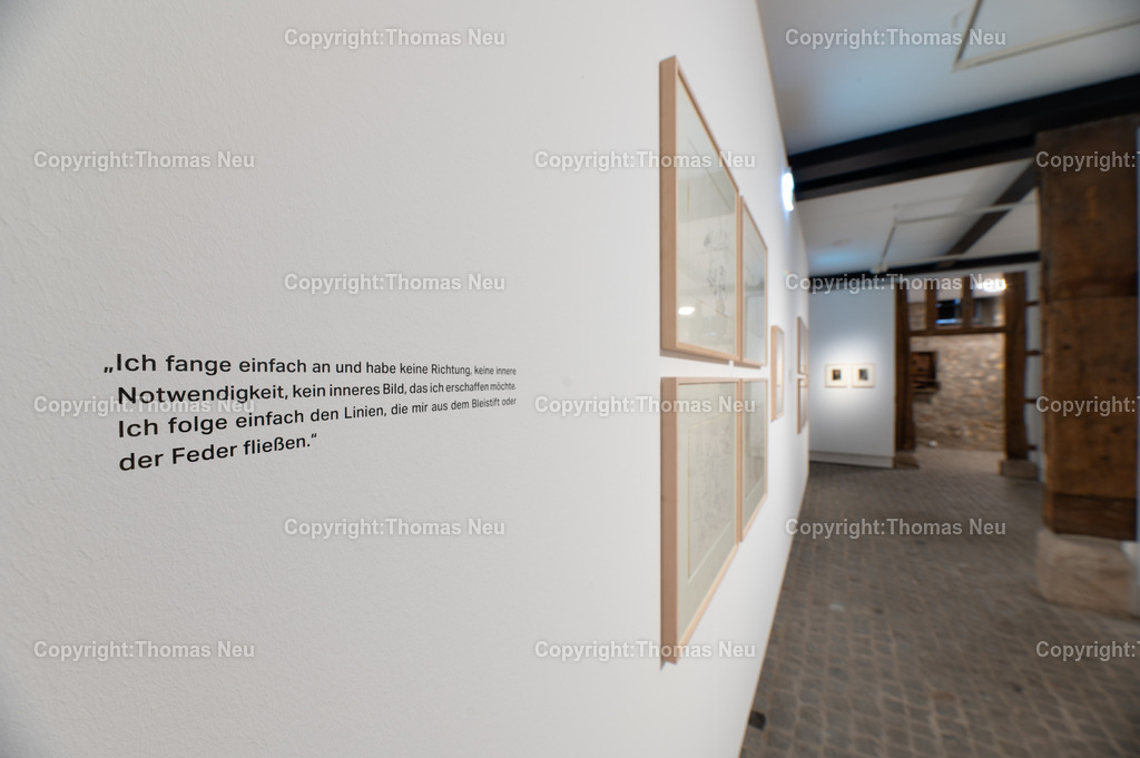 15_Neo_Rauch_Museum_Bensheim | 6.7.2024, bbe, Museum Bensheim, Ausstellung Neo Rauch "im Papiergrund", ,, Bild: Thomas Neu