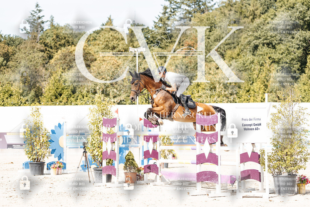 CK905239 | Turnierfotografie Pferdefotografie Trier Rheinland-Pfalz Pferdesport Reitsport Tierfotografie Sportfotografie Pferdevideo Pferdevideografie Equestrianvideography equestrianphotography  - Realisiert mit Pictrs.com