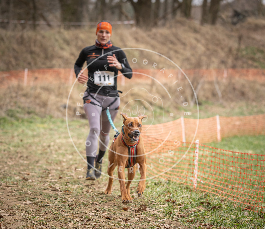 Pfotenfotografie_DV3A7534 | Hundefotografie, Tierfotograf, Pfotenfotografie, Fotoshooting Hund, Hunde Portrait, Hundesport, Hundeportraits, Heideshooting, Hunde, Sportfotograf, Hundefotograf, Turnierhundsport, THS,  - Realisiert mit Pictrs.com