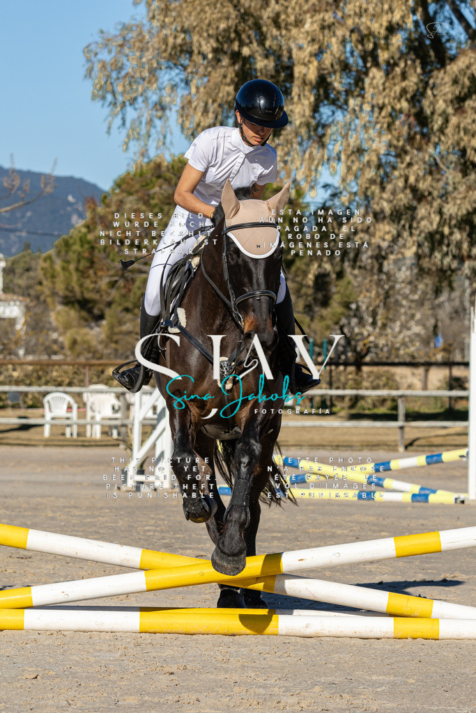 IMG_7923 | s-jay-photography - Realisiert mit Pictrs.com