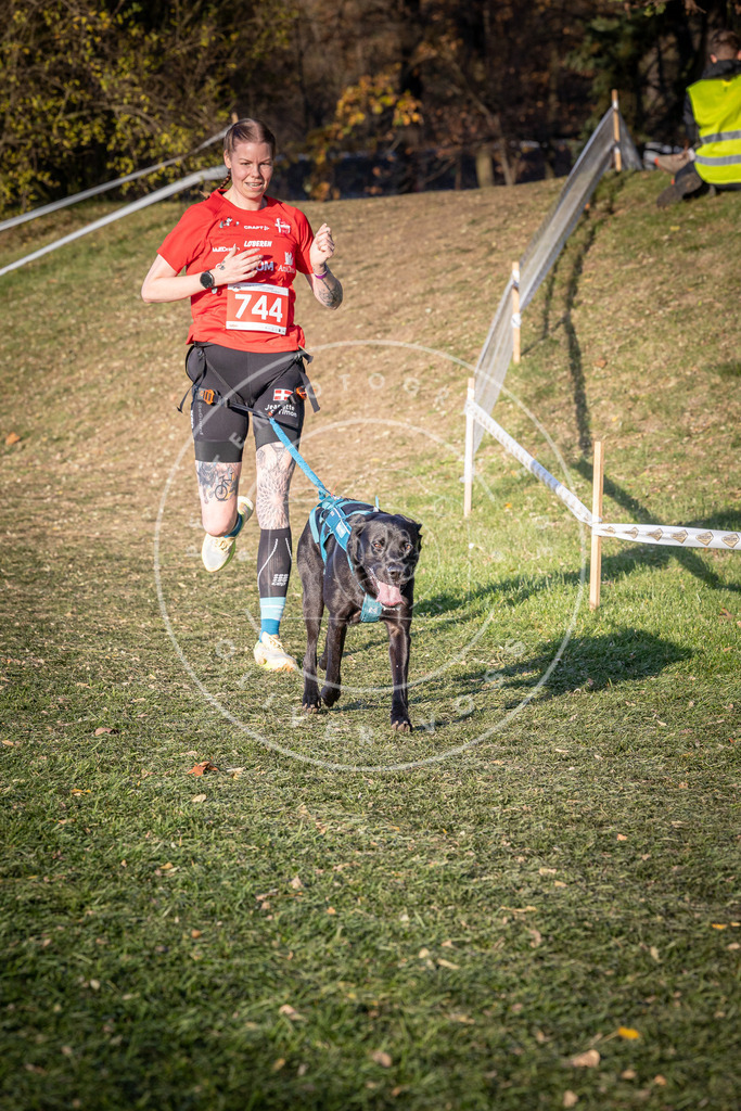 CaniXpix_0L8A9890 | Hundefotografie, Tierfotograf, Pfotenfotografie, Fotoshooting Hund, Hunde Portrait, Hundesport, Hundeportraits, Heideshooting, Hunde, Sportfotograf, Hundefotograf, Turnierhundsport, THS,  - Realisiert mit Pictrs.com