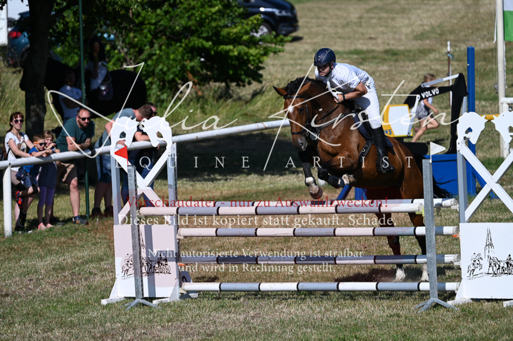 DSC_2182 | Pferde- und Turnierfotografie in Westsachsen. Pferdeportraits, Auftragszeichnungen und intuitive Kunst.