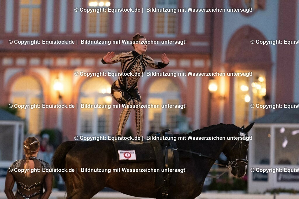 20230527_Voltigieren_NASPA_Flutlicht_0537 | equistock