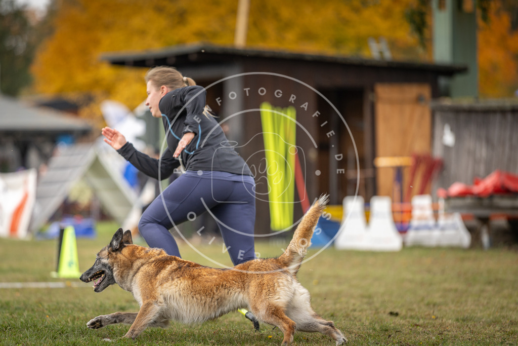 Pfotenfotografie_DV3A6669 | Hundefotografie, Tierfotograf, Pfotenfotografie, Fotoshooting Hund, Hunde Portrait, Hundesport, Hundeportraits, Heideshooting, Hunde, Sportfotograf, Hundefotograf, Turnierhundsport, THS,  - Realisiert mit Pictrs.com