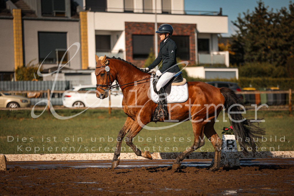 13.SoDrA100270 | Leoni Ertmer Photography - Realisiert mit Pictrs.com