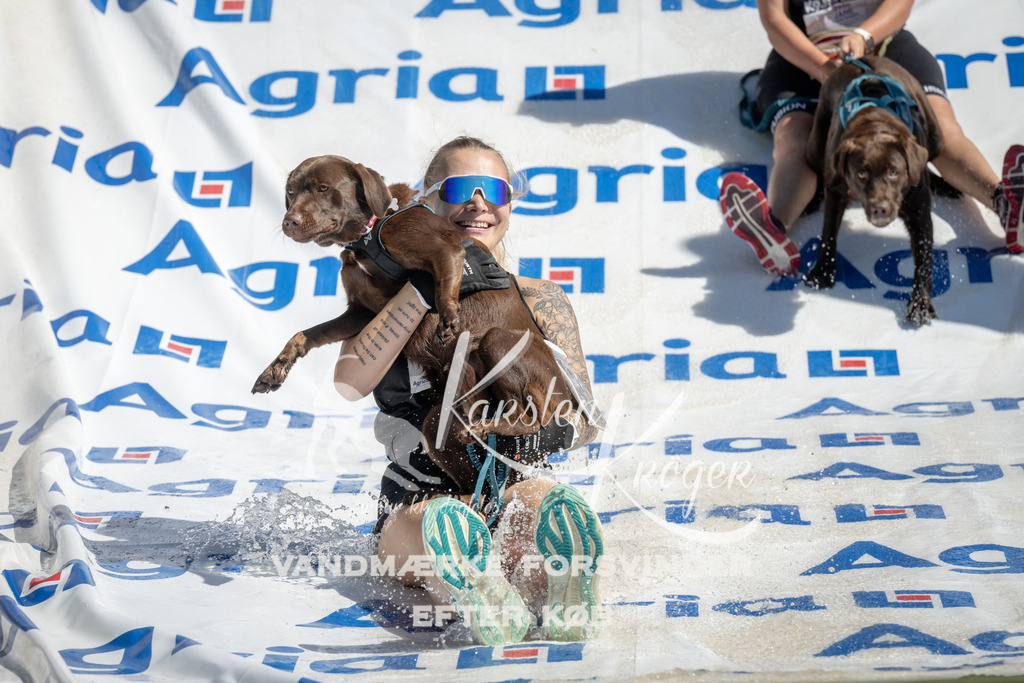 1142_ZZ93455 | kk-dogfotos