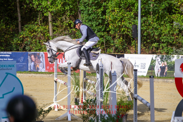 DKP42379 | Turniersportfotografie; Pferdefotografie; Dressurfotografie