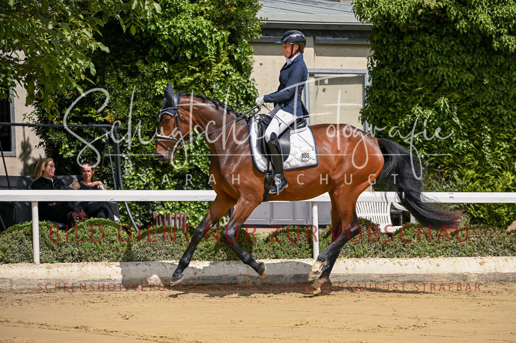 Schugtsche-Aluta25-48.Reitpferfdeprf.-41 | Schugtsche Fotografie - Realisiert mit Pictrs.com