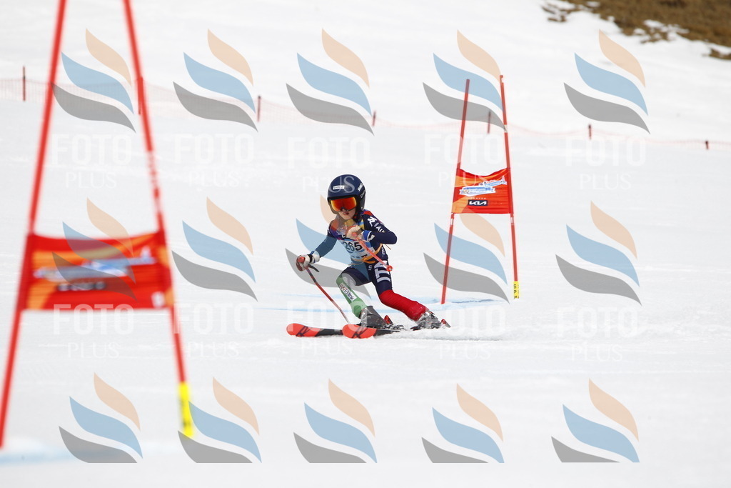 _U3G6626 | holidayphoto