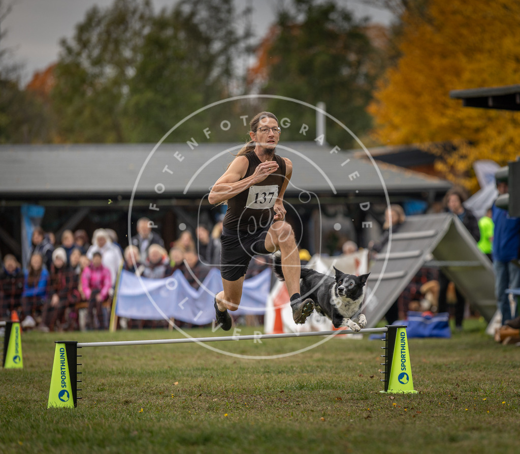 Pfotenfotografie_DV3A7854 | Hundefotografie, Tierfotograf, Pfotenfotografie, Fotoshooting Hund, Hunde Portrait, Hundesport, Hundeportraits, Heideshooting, Hunde, Sportfotograf, Hundefotograf, Turnierhundsport, THS,  - Realisiert mit Pictrs.com