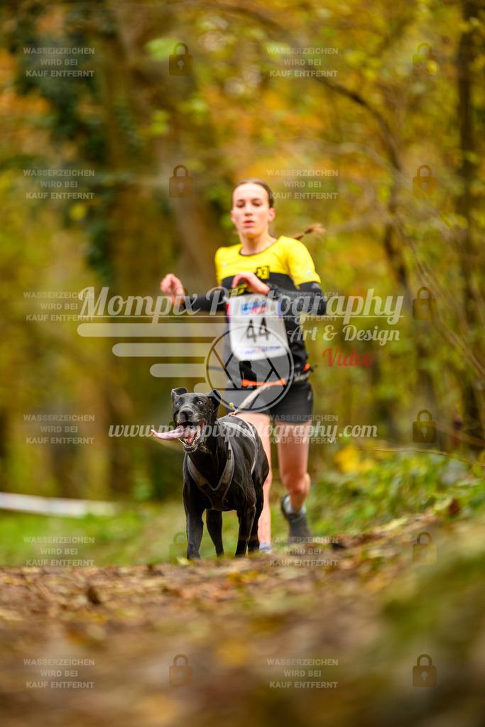 MompixPhotography_Bischwiller24_SA_Canicross-33 | PayLife