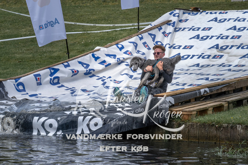 1134_ZZ92962 | kk-dogfotos