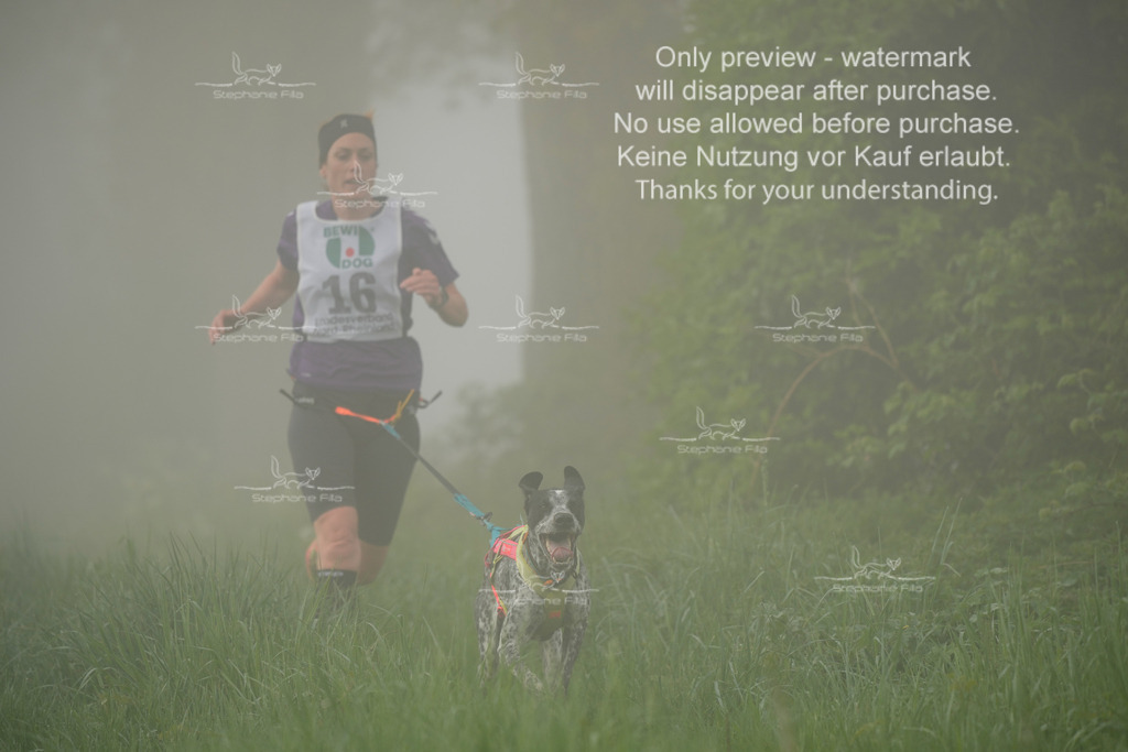 SA_GL2-86 | stephaniefillaphotographie - Realisiert mit Pictrs.com