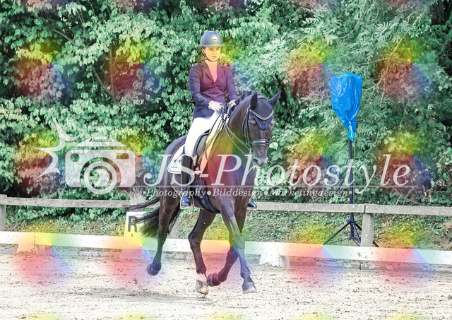 20250727_Dressurprfg_Kl.Mxx-77 | JS-Photostyle - Sport-/Portrait- & Eventfotografie
