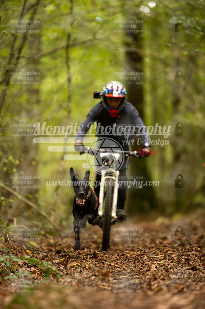 TSB_2023_E1_Bike-1 | PayLife