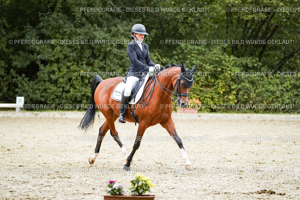 DSC01732 | Pferdegrafie