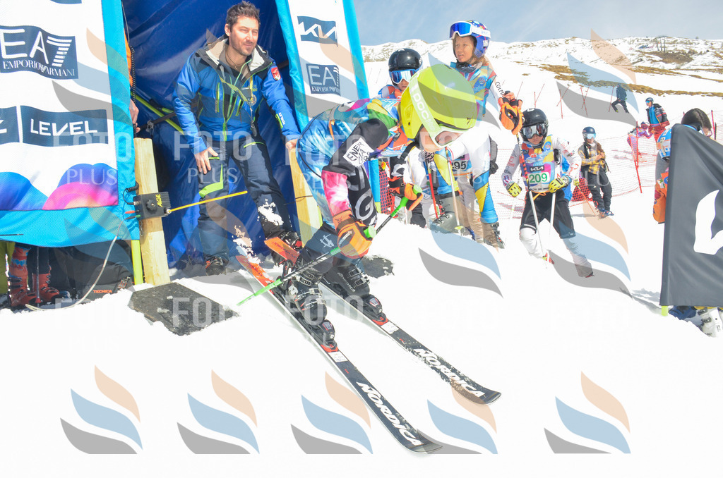 _ELE6693 | holidayphoto