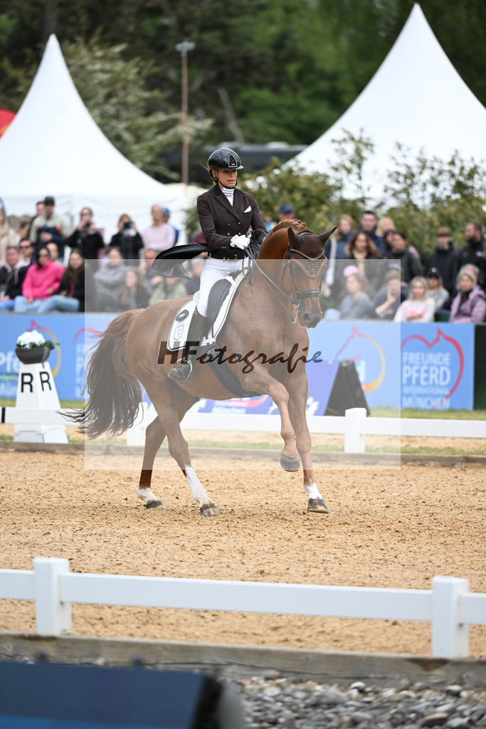 Reichert_SpringBank II VH_26266195 | hf-fotografie - Realisiert mit Pictrs.com