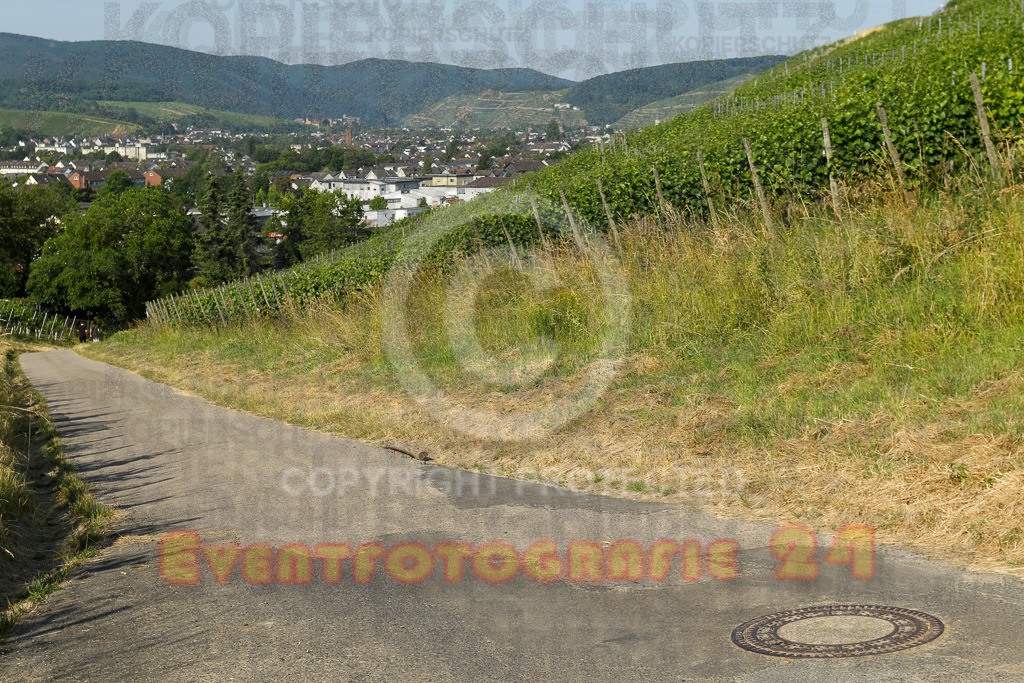 230617_0916_EV9_6366 | Sportfotografie im Rhein-Sieg Kreis, Köln, Bonn, NRW, Rheinland Pfalz, Hessen, etc. Unser Tätigkeitsfeld umfasst den Laufsport vom Volkslauf über den Marathon, Duathlon, Triathon bis zum Ultralauf wie Kölnpfad Ultra oder Schindertrail.