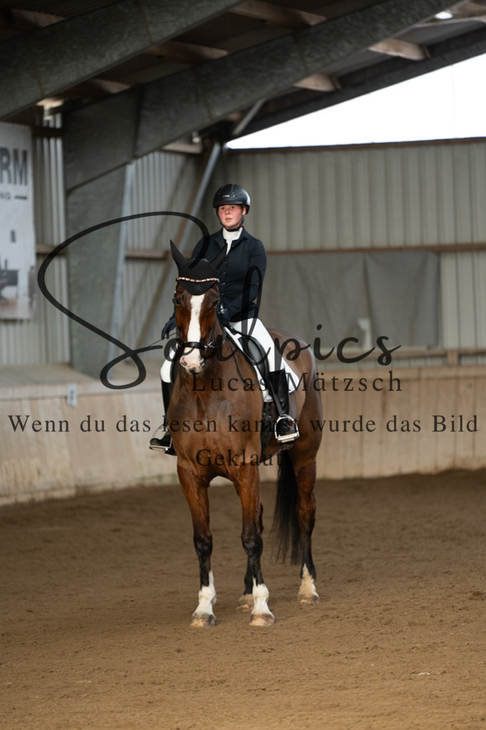 A7V05332 | Pferdefotograf