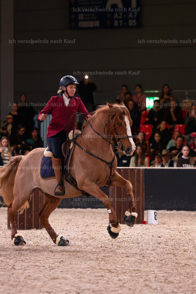 JoseraCup-150 | working equitationturnier fotograf videograf stoibphotography marixx film working equitation deutschland reitsport turnierfotografie eventfotografie equestrian events