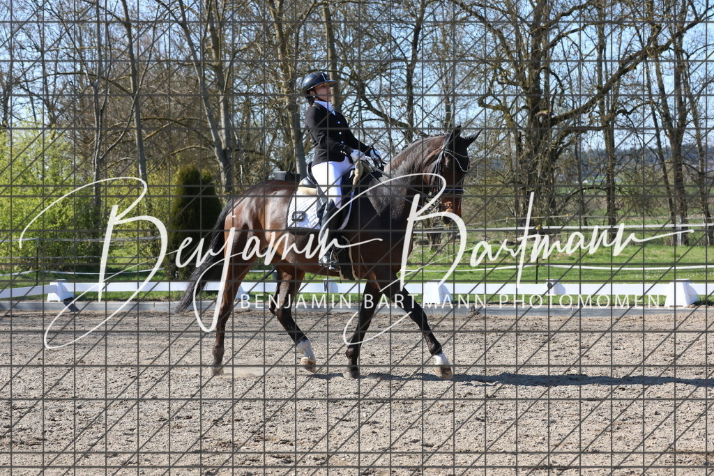 AZ2A6296 | Benjamin Bartmann Photomoments