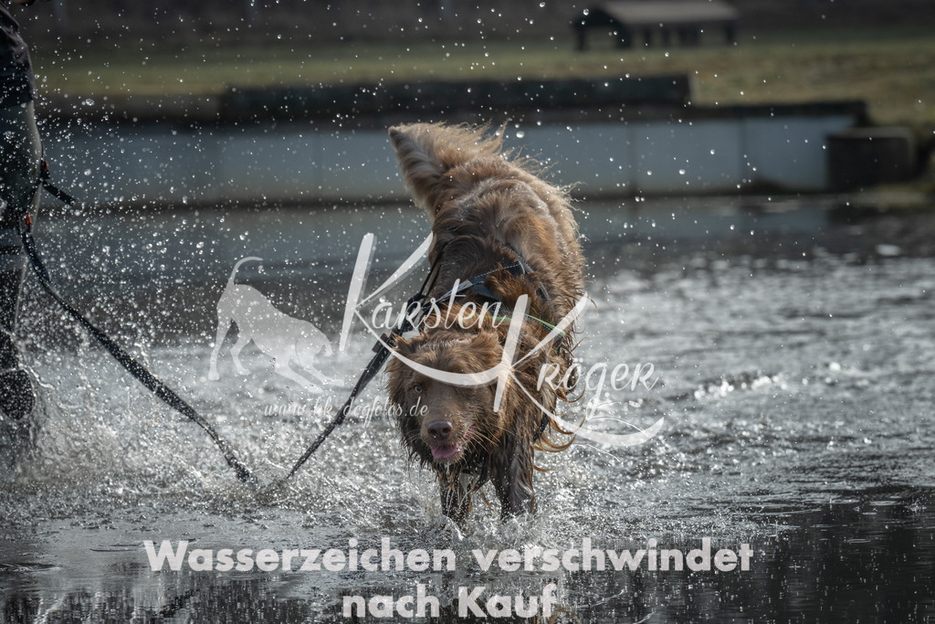 1008_ZZ95859 | kk-dogfotos